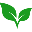 Essential Wellness Blend